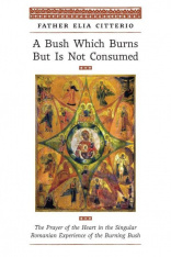 A Bush Which Burns But Is Not Consumed (Hardcover)